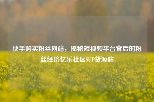 快手购买粉丝网站，揭秘短视频平台背后的粉丝经济亿乐社区SUP货源站  第1张