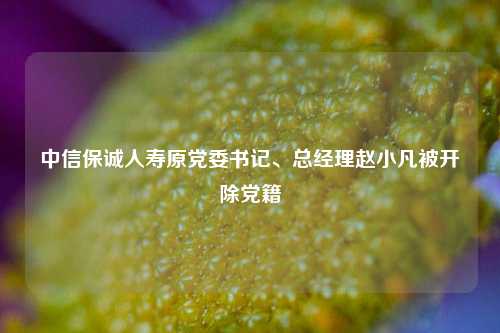 中信保诚人寿原党委书记、总经理赵小凡被开除党籍  第1张