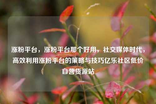 涨粉平台，涨粉平台那个好用	，社交媒体时代，高效利用涨粉平台的策略与技巧亿乐社区低价自营货源站  第1张
