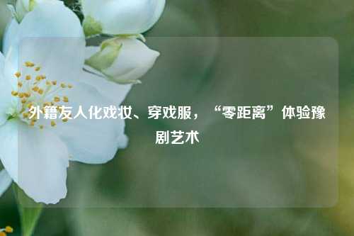 外籍友人化戏妆、穿戏服，“零距离”体验豫剧艺术  第1张