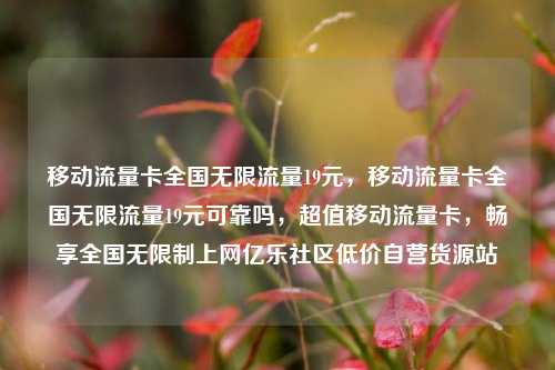 移动流量卡全国无限流量19元，移动流量卡全国无限流量19元可靠吗，超值移动流量卡，畅享全国无限制上网亿乐社区低价自营货源站  第1张
