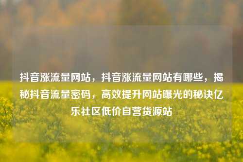 抖音涨流量网站，抖音涨流量网站有哪些，揭秘抖音流量密码，高效提升网站曝光的秘诀亿乐社区低价自营货源站  第1张