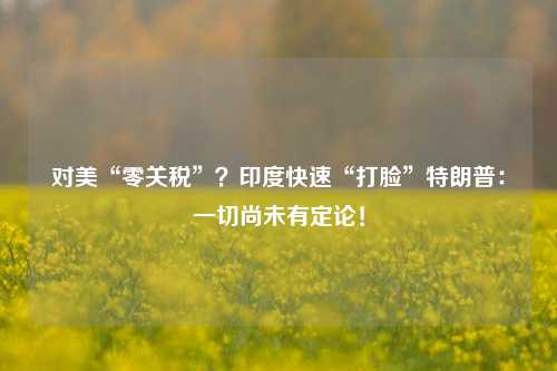 对美“零关税”？印度快速“打脸”特朗普：一切尚未有定论！  第1张
