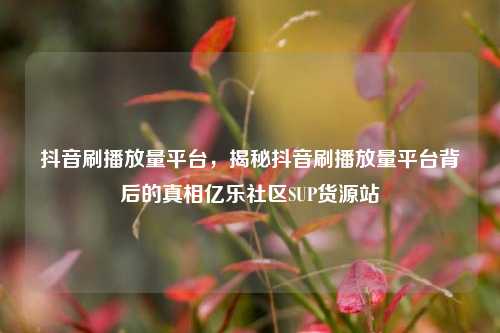 抖音刷播放量平台，揭秘抖音刷播放量平台背后的真相亿乐社区SUP货源站  第1张