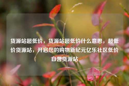货源站超低价，货源站超低价什么意思	，超低价货源站，开启您的购物新纪元亿乐社区低价自营货源站  第1张