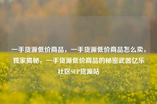 一手货源低价商品	，一手货源低价商品怎么卖，独家揭秘，一手货源低价商品的秘密武器亿乐社区SUP货源站  第1张