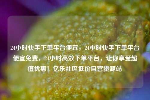 24小时快手下单平台便宜，24小时快手下单平台便宜免费	，24小时高效下单平台，让你享受超值优惠！亿乐社区低价自营货源站  第1张