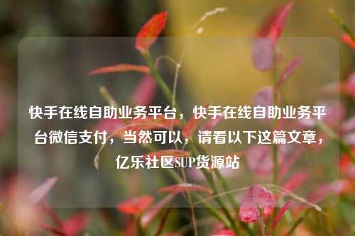 快手在线自助业务平台，快手在线自助业务平台微信支付，当然可以，请看以下这篇文章，亿乐社区SUP货源站  第1张