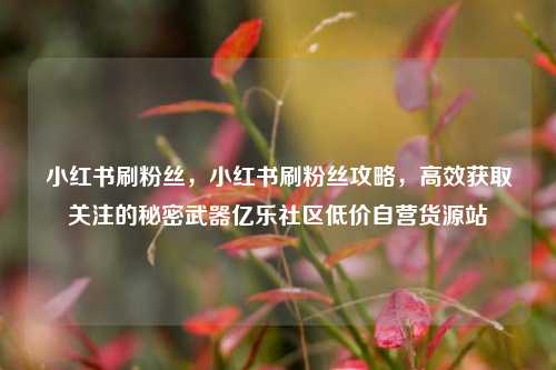 小红书刷粉丝，小红书刷粉丝攻略，高效获取关注的秘密武器亿乐社区低价自营货源站  第1张