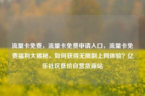 流量卡免费，流量卡免费申请入口	，流量卡免费福利大揭秘，如何获得无限制上网体验？亿乐社区低价自营货源站  第1张
