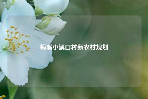 梅溪小溪口村新农村规划  第1张