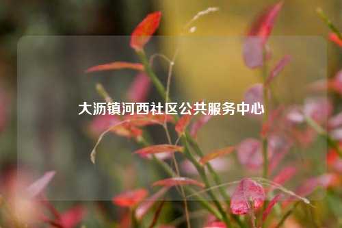 大沥镇河西社区公共服务中心  第1张