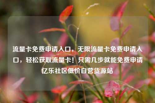 流量卡免费申请入口，无限流量卡免费申请入口，轻松获取流量卡！只需几步就能免费申请亿乐社区低价自营货源站  第1张