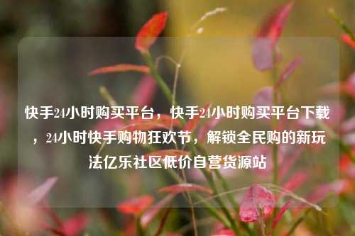 快手24小时购买平台	，快手24小时购买平台下载，24小时快手购物狂欢节，解锁全民购的新玩法亿乐社区低价自营货源站  第1张