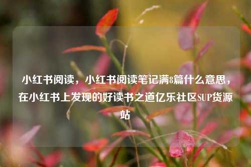 小红书阅读	，小红书阅读笔记满8篇什么意思，在小红书上发现的好读书之道亿乐社区SUP货源站  第1张