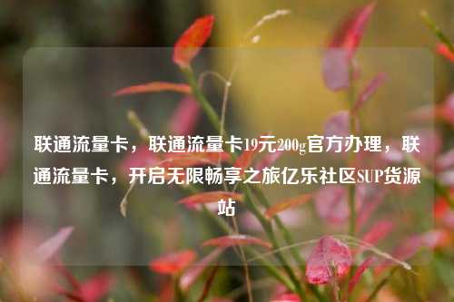 联通流量卡	，联通流量卡19元200g官方办理，联通流量卡，开启无限畅享之旅亿乐社区SUP货源站  第1张