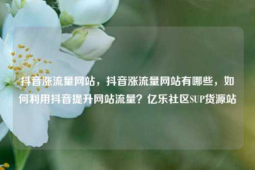 抖音涨流量网站，抖音涨流量网站有哪些，如何利用抖音提升网站流量？亿乐社区SUP货源站  第1张