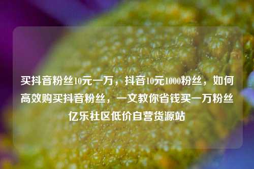 买抖音粉丝10元一万	，抖音10元1000粉丝，如何高效购买抖音粉丝，一文教你省钱买一万粉丝亿乐社区低价自营货源站  第1张
