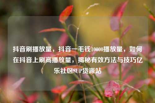 抖音刷播放量	，抖音一毛钱10000播放量，如何在抖音上刷高播放量，揭秘有效方法与技巧亿乐社区SUP货源站  第1张