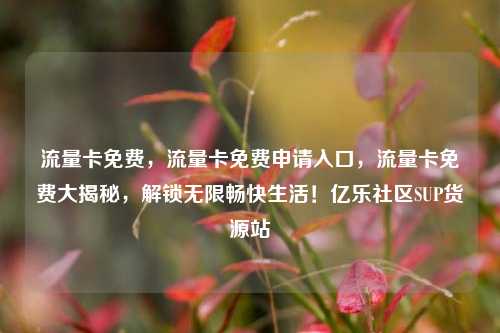 流量卡免费，流量卡免费申请入口，流量卡免费大揭秘	，解锁无限畅快生活！亿乐社区SUP货源站  第1张