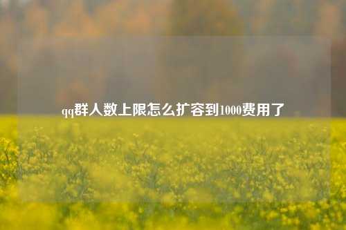 qq群人数上限怎么扩容到1000费用了  第1张