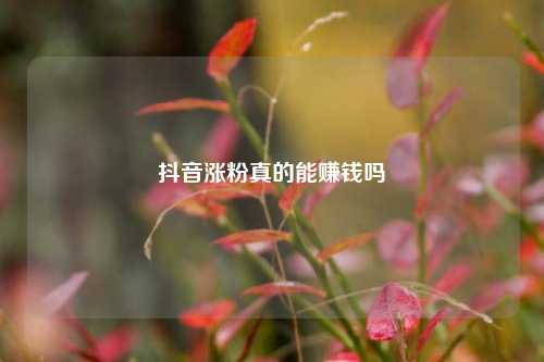 抖音涨粉真的能赚钱吗  第1张
