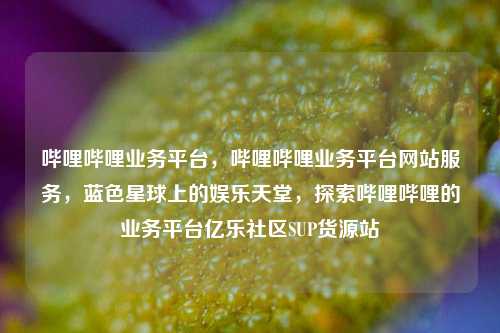 哔哩哔哩业务平台，哔哩哔哩业务平台网站服务	，蓝色星球上的娱乐天堂，探索哔哩哔哩的业务平台亿乐社区SUP货源站  第1张