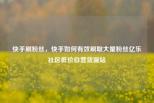 快手刷粉丝，快手如何有效刷取大量粉丝亿乐社区低价自营货源站  第1张