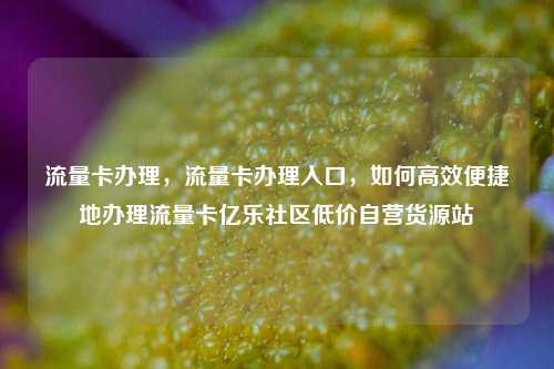 流量卡办理，流量卡办理入口	，如何高效便捷地办理流量卡亿乐社区低价自营货源站  第1张