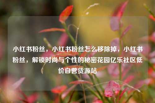 小红书粉丝，小红书粉丝怎么移除掉，小红书粉丝，解锁时尚与个性的秘密花园亿乐社区低价自营货源站  第1张