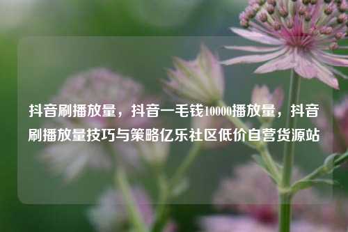 抖音刷播放量	，抖音一毛钱10000播放量，抖音刷播放量技巧与策略亿乐社区低价自营货源站  第1张