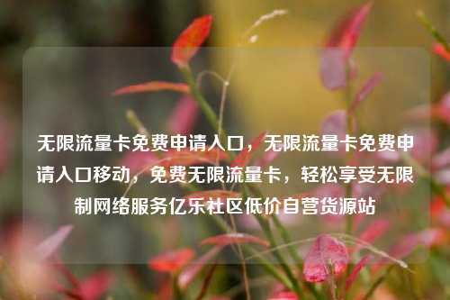 无限流量卡免费申请入口，无限流量卡免费申请入口移动，免费无限流量卡	，轻松享受无限制网络服务亿乐社区低价自营货源站  第1张