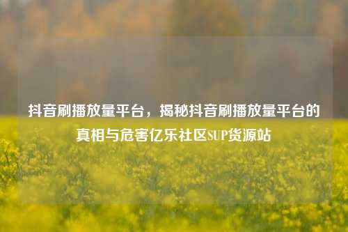 抖音刷播放量平台，揭秘抖音刷播放量平台的真相与危害亿乐社区SUP货源站  第1张