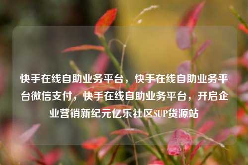 快手在线自助业务平台，快手在线自助业务平台微信支付，快手在线自助业务平台，开启企业营销新纪元亿乐社区SUP货源站  第1张