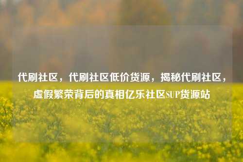 代刷社区，代刷社区低价货源，揭秘代刷社区	，虚假繁荣背后的真相亿乐社区SUP货源站  第1张
