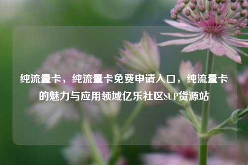 纯流量卡，纯流量卡免费申请入口	，纯流量卡的魅力与应用领域亿乐社区SUP货源站  第1张