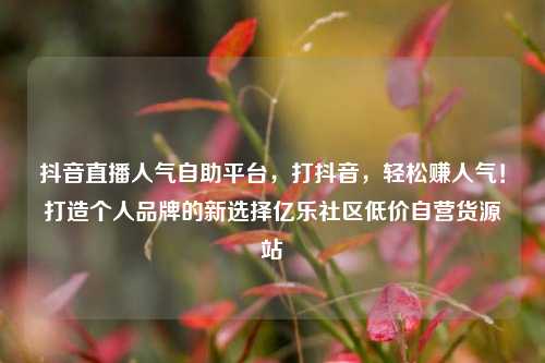 抖音直播人气自助平台，打抖音，轻松赚人气！打造个人品牌的新选择亿乐社区低价自营货源站  第1张