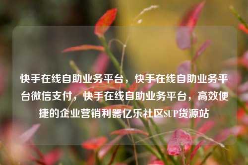 快手在线自助业务平台	，快手在线自助业务平台微信支付，快手在线自助业务平台，高效便捷的企业营销利器亿乐社区SUP货源站  第1张