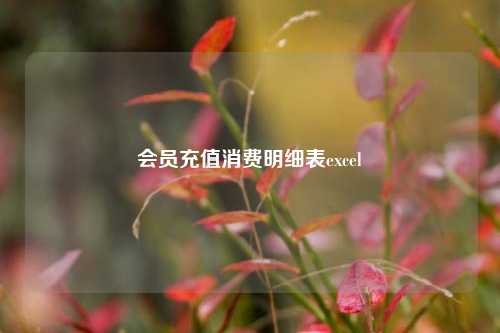 会员充值消费明细表excel  第1张