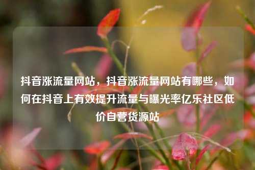 抖音涨流量网站	，抖音涨流量网站有哪些，如何在抖音上有效提升流量与曝光率亿乐社区低价自营货源站  第1张