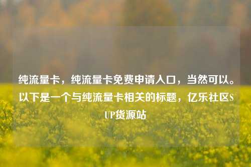 纯流量卡，纯流量卡免费申请入口，当然可以。以下是一个与纯流量卡相关的标题，亿乐社区SUP货源站  第1张