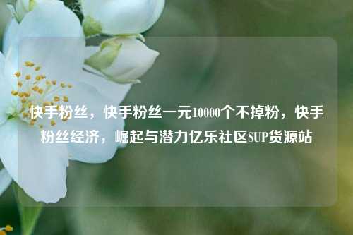 快手粉丝	，快手粉丝一元10000个不掉粉，快手粉丝经济，崛起与潜力亿乐社区SUP货源站  第1张