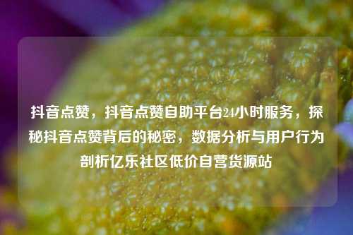 抖音点赞，抖音点赞自助平台24小时服务，探秘抖音点赞背后的秘密，数据分析与用户行为剖析亿乐社区低价自营货源站  第1张