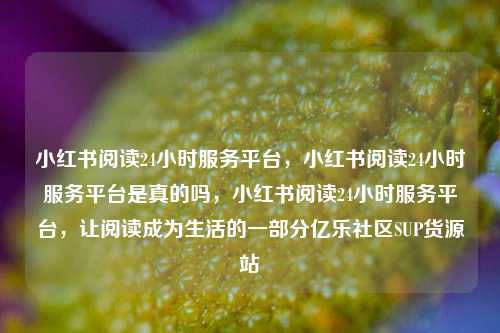 小红书阅读24小时服务平台，小红书阅读24小时服务平台是真的吗，小红书阅读24小时服务平台，让阅读成为生活的一部分亿乐社区SUP货源站  第1张