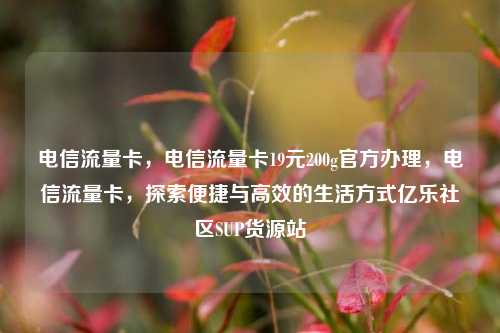 电信流量卡，电信流量卡19元200g官方办理	，电信流量卡，探索便捷与高效的生活方式亿乐社区SUP货源站  第1张
