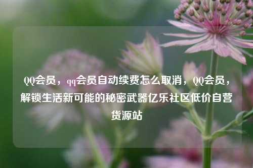 QQ会员，qq会员自动续费怎么取消，QQ会员，解锁生活新可能的秘密武器亿乐社区低价自营货源站  第1张