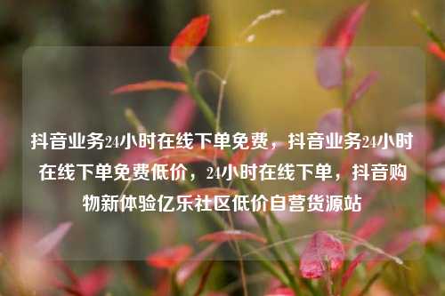 抖音业务24小时在线下单免费，抖音业务24小时在线下单免费低价，24小时在线下单，抖音购物新体验亿乐社区低价自营货源站  第1张