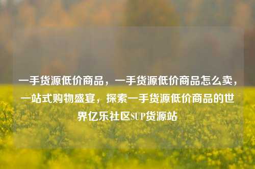 一手货源低价商品	，一手货源低价商品怎么卖，一站式购物盛宴，探索一手货源低价商品的世界亿乐社区SUP货源站  第1张