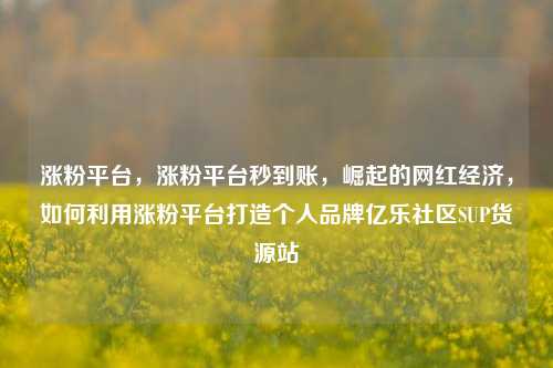 涨粉平台，涨粉平台秒到账	，崛起的网红经济，如何利用涨粉平台打造个人品牌亿乐社区SUP货源站  第1张