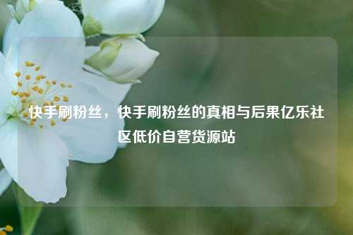 快手刷粉丝，快手刷粉丝的真相与后果亿乐社区低价自营货源站  第1张